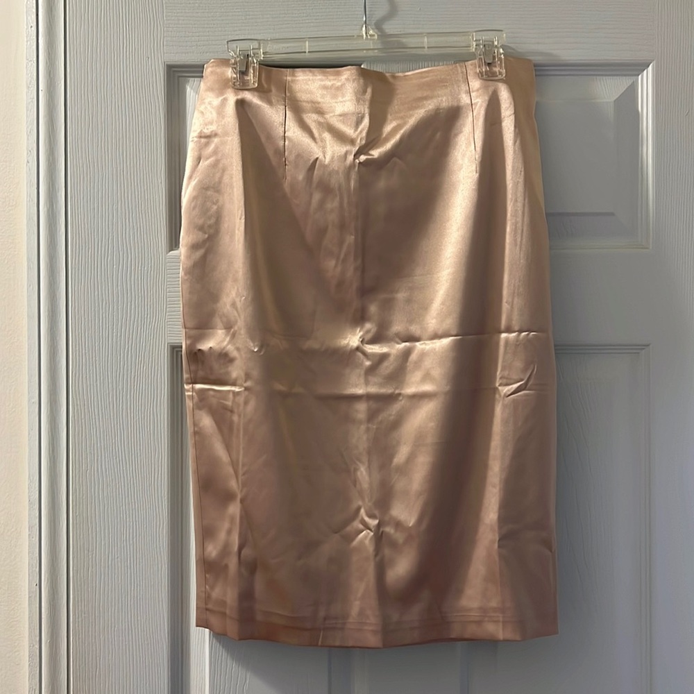 Meshki Satin Midi Skirt